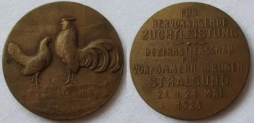 seltene Bronze Medaille Bezirkstierschau Stralsund 1925 (127219)