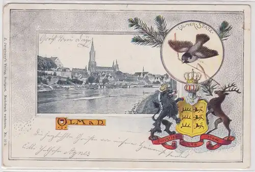 00463 Wappen Ak Ulm an der Donau Dom und Spatz 1902