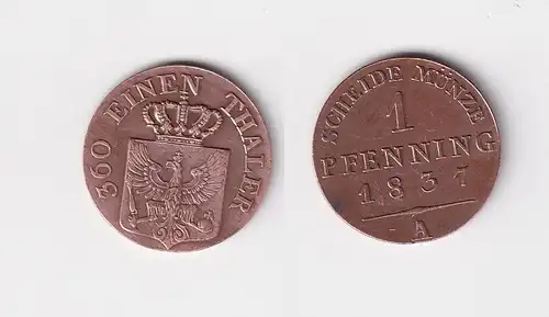1 Pfennig Bronze Münze Preussen 1837 A  ss+ (157270)