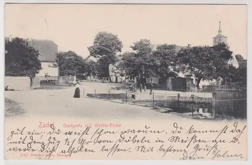 900630 Ak Zadel bei Meissen Dorfplatz mit Wettin Eiche 1907