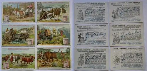 Liebigbilder Serie Nr. 377 Rinder-Rassen Jahrgang 1897 (4/165880)