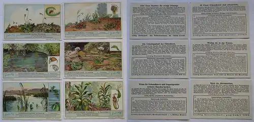 Liebigbilder Serie Nr. 1025 Insektenfressende Pflanzen Jahrgang 1932 (4/165843)