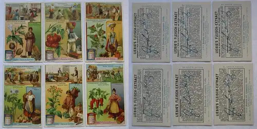 Liebigbilder Serie Nr. 819 Nachtschatten-Gewächse Jahrgang 1911 (4/165917)