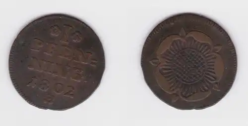 1 Pfennig Kupfer Münze Lippe 1802 ss (131062)