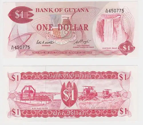 1 Dollar Banknote Guyana bankfrisch UNC (159552)