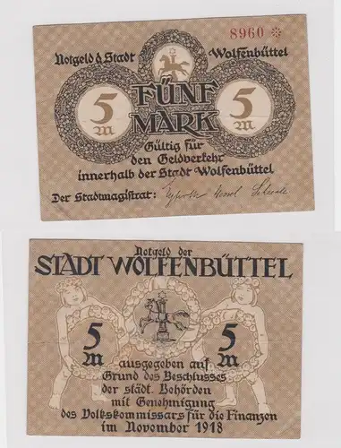 5 Mark Banknoten Notgeld Stadt Wolfenbüttel November 1918 (132314)