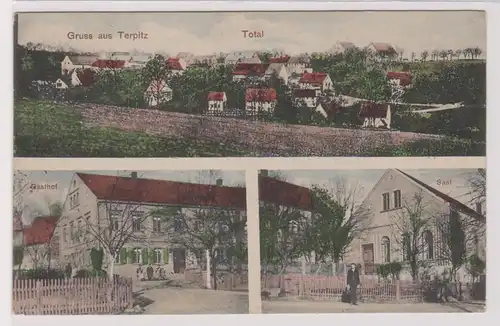 99156 Mehrbild Ak Gruß aus Terpitz Gasthof und Totalansicht um 1910
