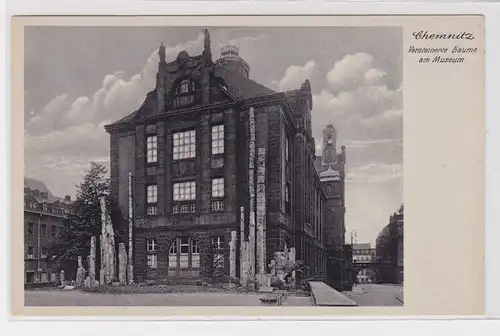 905239 Ak Chemnitz versteinerte Bäume am Museum 1941