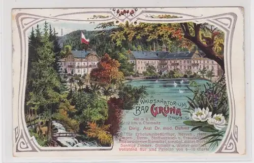 906315 Lithographie Ak Waldsanatorium Bad Grüna i. Erzgebirge um 1920