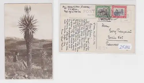 25002 Foto Ak Süd West Afrika Köcherbaum 1933