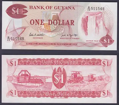 1 Dollar Banknote Guyana bankfrisch UNC (162777)