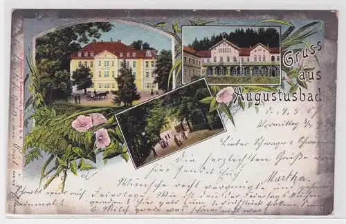 01052 Lithografie Ak Gruss aus Augustusbad - Palais-Hotel mit Waldpartie 1907