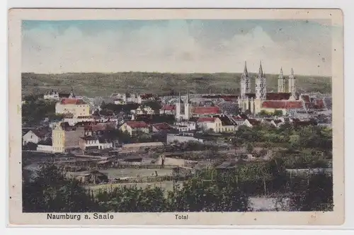 904576 Ak Naumburg a. Saale - Totalansicht mit Dom 1919