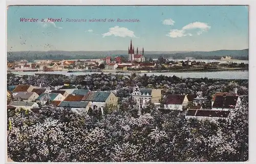 66150 Ak Werder an der Havel Panorama während der Baumblüte 1911