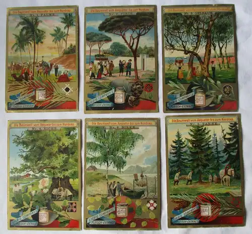 Liebigbilder Serie 350 Die Baumwelt vom Äquator bis zum Nordcap 1897 (7/153241)