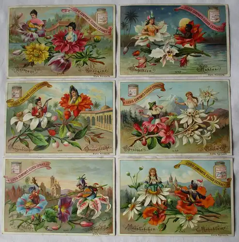 Liebigbilder Serie Nr. 353 Blumen mit Figuren im Kelch Jahr 1897 (7/156317)