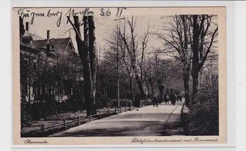 905038 AK Chemnitz - Schloßteichrataurant mit Promenade und Allee