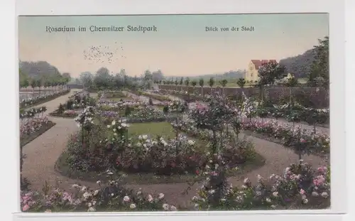 905852 AK Chemnitz -Rosarium im Stadtpark, Blick von der Stadt 1906
