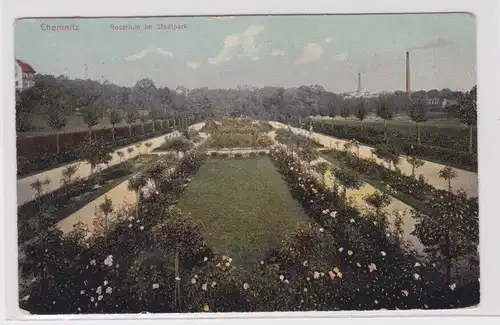 906249 Ak Chemnitz - Rosarium im Stadtpark, Parkanlage 1916