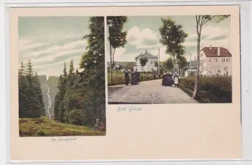 906451 Ak Grüna - Mehrbild, Im Gussgrund, Waldansicht um 1900