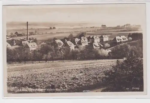905617 Ak Grüna - Siedlung Waldesrauschen, Totalansicht mit Feldpartie 1928