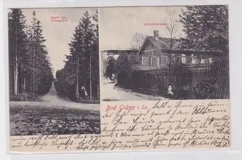 905618 Ak Grüna - Mehrbild, Partie im Gussgrund, Schweizerhaus 1906