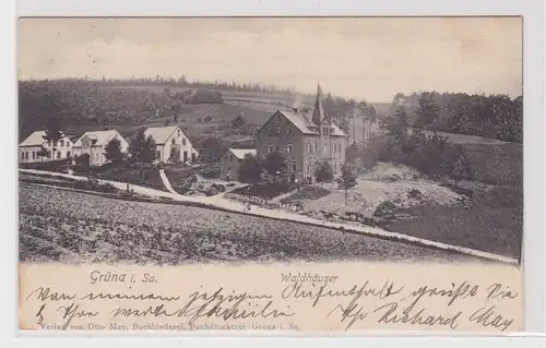 905498 AK Grüna - Waldhäuser, Straßenansicht mit Walspartie 1905