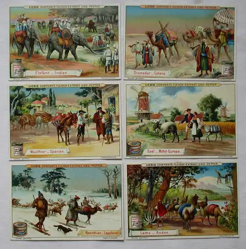 Liebigbilder Serie Nr. 434 Last- und Nutztiere 1899 (5/125620)