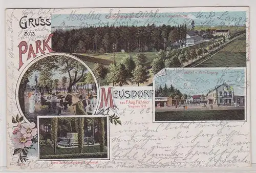 903322 Ak Lithographie Gruß aus Park Meusdorf bei Leipzig 1903