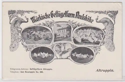 904278 Mehrbild Ak Altruppin Märkische Geflügelfarm Paulshöhe um 1930