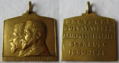 seltene Medaille deutsche Solvay Werke AG Bernburg 1880-1930 (163083)