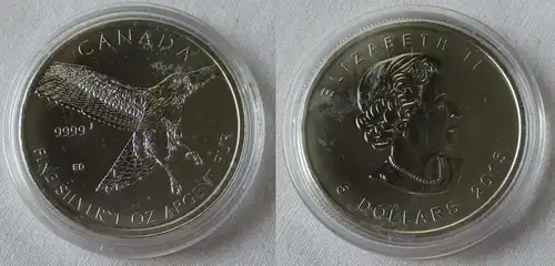 5 Dollar Silber Münze Kanada Rotschwanzbussard 1 Unze Feinsilber 2015 (134164)