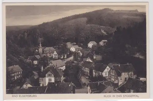 99868 AK Bad Elgersburg - Blick in das Steigertal um 1920