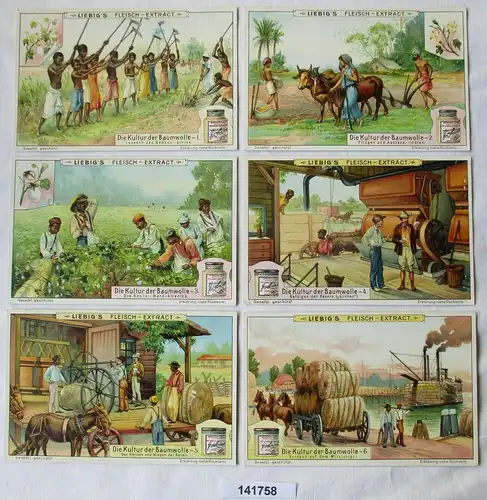Liebigbilder Serie Nr. 814 Die Kultur der Baumwolle Jahrgang 1911 (7/141758)