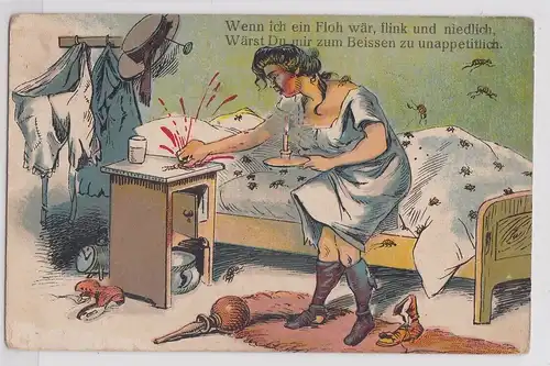 902415 Humor Ak "Wenn ich ein Floh wär, flink und niedlich..." um 1910