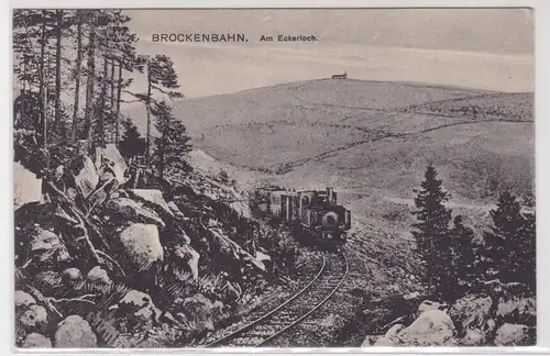 80767 AK Brockenbahn - Am Eckerloch, Dampflokomotive mit Talpanorama 1915