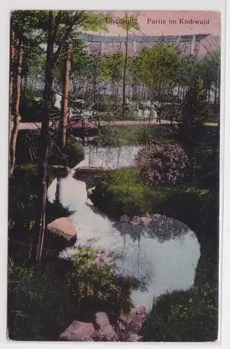 95503 AK Chemnitz - Partie im Küchwald, Waldpartie mit Fluss 1908