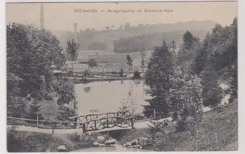 18004 Ak Mittweida - Anlagenpartie im Bismarck-Hain 1917