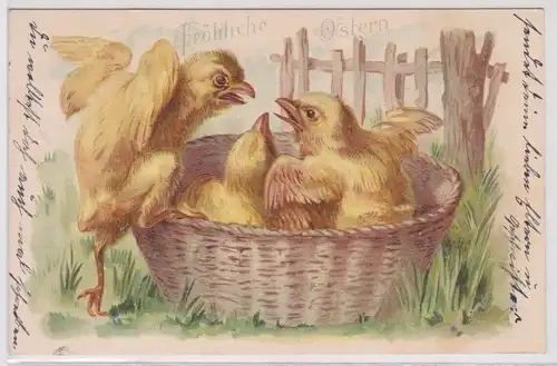 60078 Präge AK Fröhliche Ostern 3 Küken im Korb streiten sich 1904