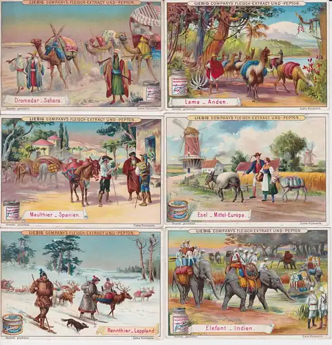 Liebigbilder Serie Nr. 434 Last- und Nutztiere 1899 (4/128430)