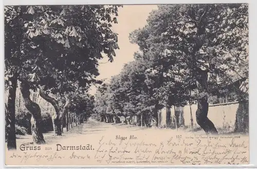 35501 AK Gruss aus Darmstadt - Scheppe Allee 1899
