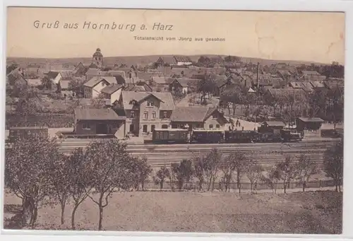 54147 AK Gruß aus Hornburg am Harz - Totalansicht vom Iberg aus gesehen