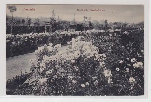 91673 Ak Chemnitz Stadtpark Staude Garten 1925