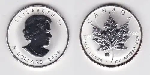 5 Dollar Silber Münze Canada Kanada Maple Leaf 2009 Brandenburger Tor (155515)