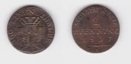 1 Pfennig Bronze Münze Preussen 1837 A ss (162437)