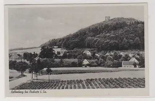 68569 Ak Collmberg bei Oschatz in Sachsen 1941