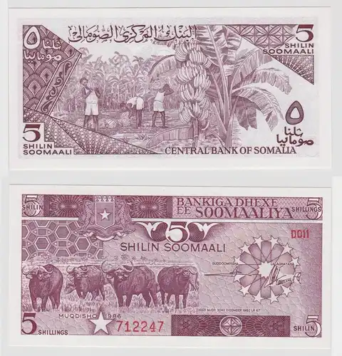 5 Shillings Banknote Somalia Soomaaliya 1986 bankfrisch UNC Pick 31 (129395)