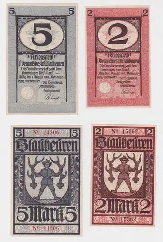 2 und 5 Mark Banknoten Notgeld Oberamtsbezirk Blaubeuren 1919 (127203)