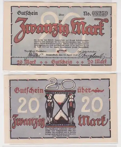 20 Mark Banknoten Bayer. Handelsbank Filiale Immenstadt 23.4.1919 (101605)