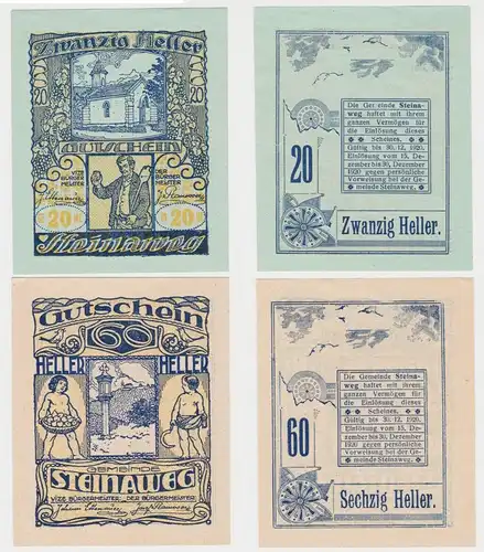 20 & 60 Heller Banknoten Notgeld Gemeinde Steinaweg 1920 (154511)